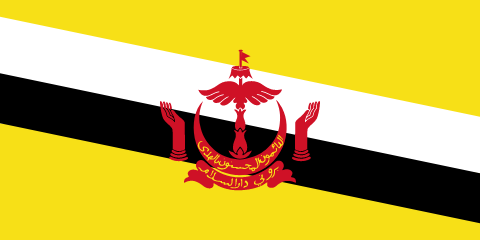resize and download Brunei Darussalam flag