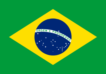 resize and download Brazil flag