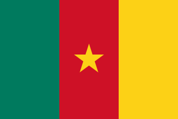 resize and download Cameroon flag