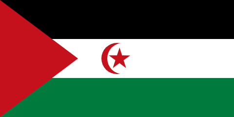resize and download Western Sahara flag