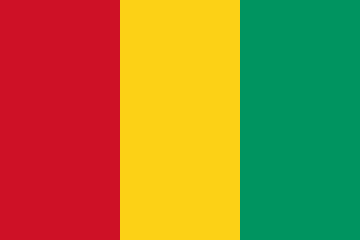 resize and download Guinea flag