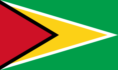 resize and download Guyana flag