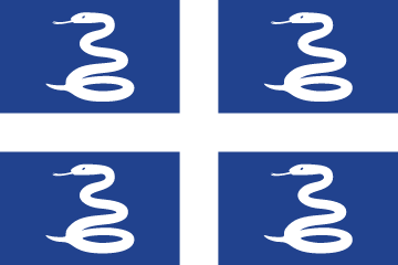 resize and download Martinique flag