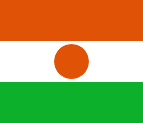 resize and download Niger flag