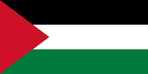 resize and download Palestine flag