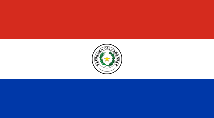resize and download Paraguay flag