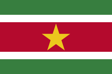 resize and download Suriname flag