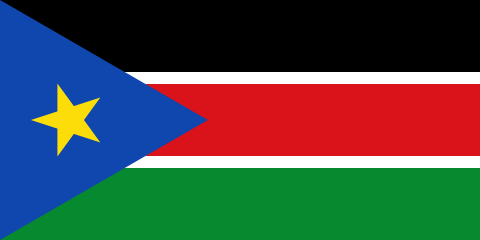 resize and download South Sudan flag