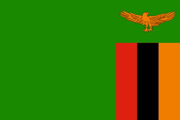resize and download Zambia flag
